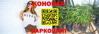 метадон Камышлов