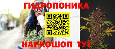 метадон Камышлов