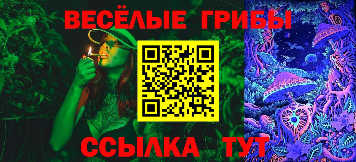 Красноярск  где продают   Вход с VPN  Псилоцибиновые грибы Psilocybe  Псилоцибиновые грибы ЛСД 